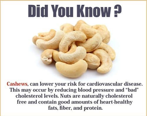 cashew nuts