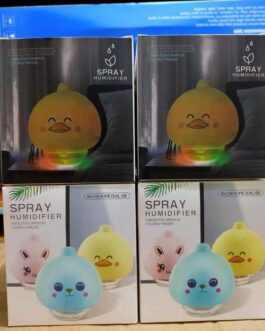 Cute Spray Humidifier