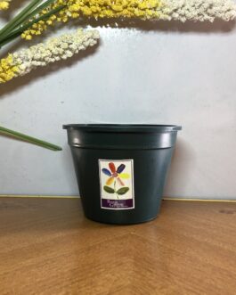 Green Semi Round Flower Pot