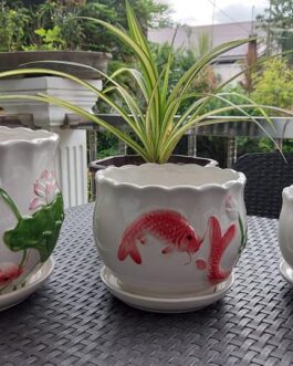 Elegant Ceramic Plant Pots with Tray – Set of 3 Small, Medium, Large Size